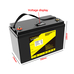 Аккумулятор LiitoKala  LiFePO4 12V100Ah+LCD (Size: 330*170*220mm)