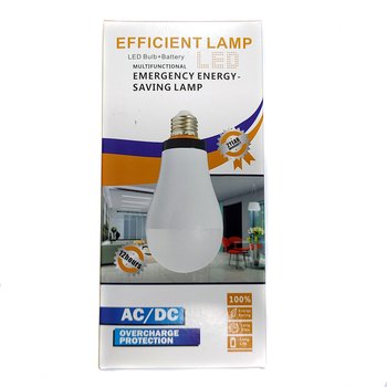 Аккумуляторная LED лампа RA-800MA-12W-1